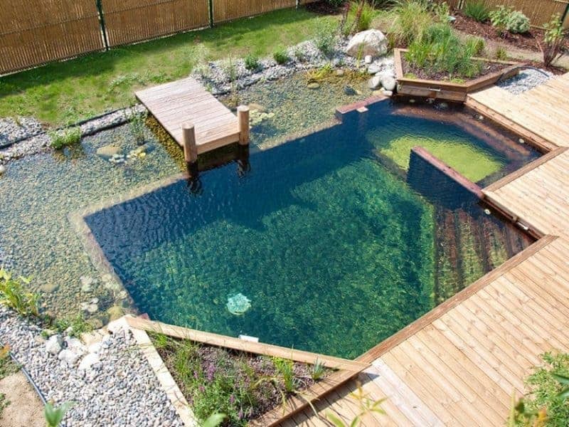 Piscine naturelle avec terrasse bois et eau claire en Vendée